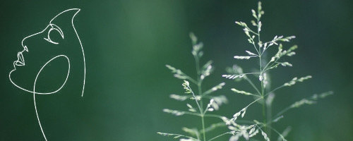 Soins visage apaisants & nourrissants